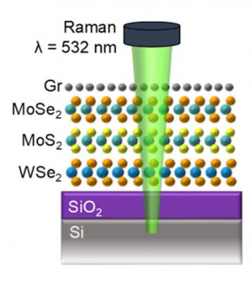 Cross-section schematic of Gr/MoSe2/MoS2/WSe2 sandwich on SiO2/Si substrate image
