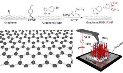 Graphene assists in creating ''polymer carpets'' image