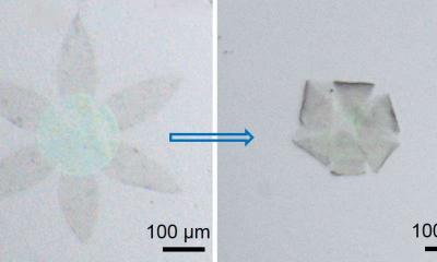 Graphene can be folded into 3D shapes image