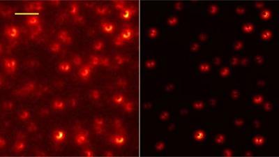 Single molecules successfully demostrated image