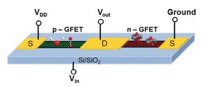 Inorganic dopants inspire n-type graphene transistor progress image