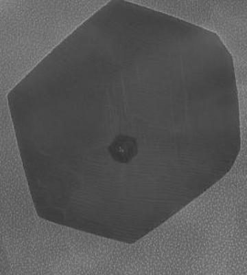 Microscope image of a graphene crystal on a palladium leaf image