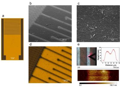 Researchers are using aerosol-jet-printing technology to create graphene biosensors that can detect histamine image