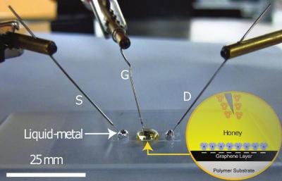 Honey to help make graphene transistors image
