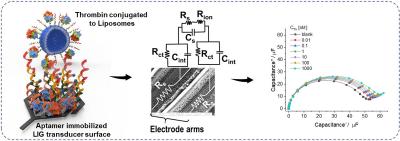 Laser-induced graphene interdigitated electrodes for label-free aptamer-based biosensors image