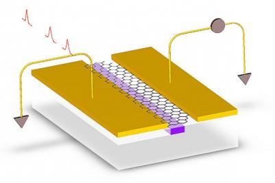 Graphene-on-silicon photodetector design