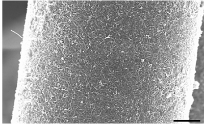 HR-SEM of a glass fiber coated with SP1 MWCNT