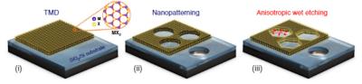 Etching hexagonal nanostructures in TMD materials image