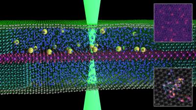 Graphene scientists capture first images of atoms âswimmingâ in liquid image