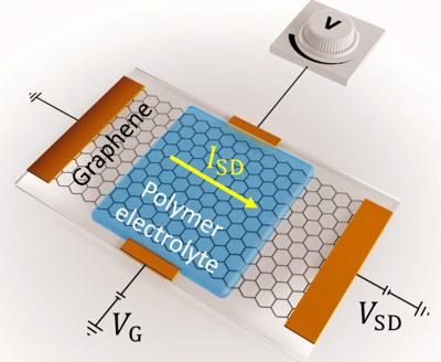The gated graphene sample device in which the graphene film acts as a channel between source and drain electrodes  image