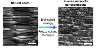 Inspired by nacre, epoxy-graphene layered nanocomposites are tough and self-monitoring image