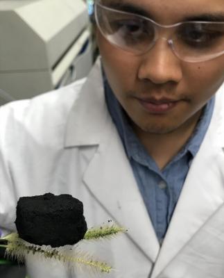 Rice team creates 3D objects from graphene foam image