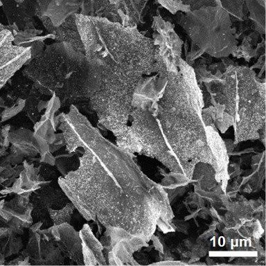 Tin oxide graphene hybrid materials through SEM image