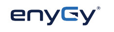 Enygy company logo image