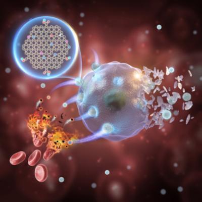 Graphene quantum dots show promise for highly efficient tumor therapy image