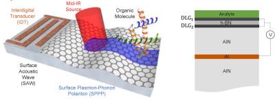 Graphene biosensor uses sound waves for chemical fingerprinting of ultrathin biolayers image